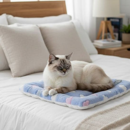 tapis-chat-confortable-nuage