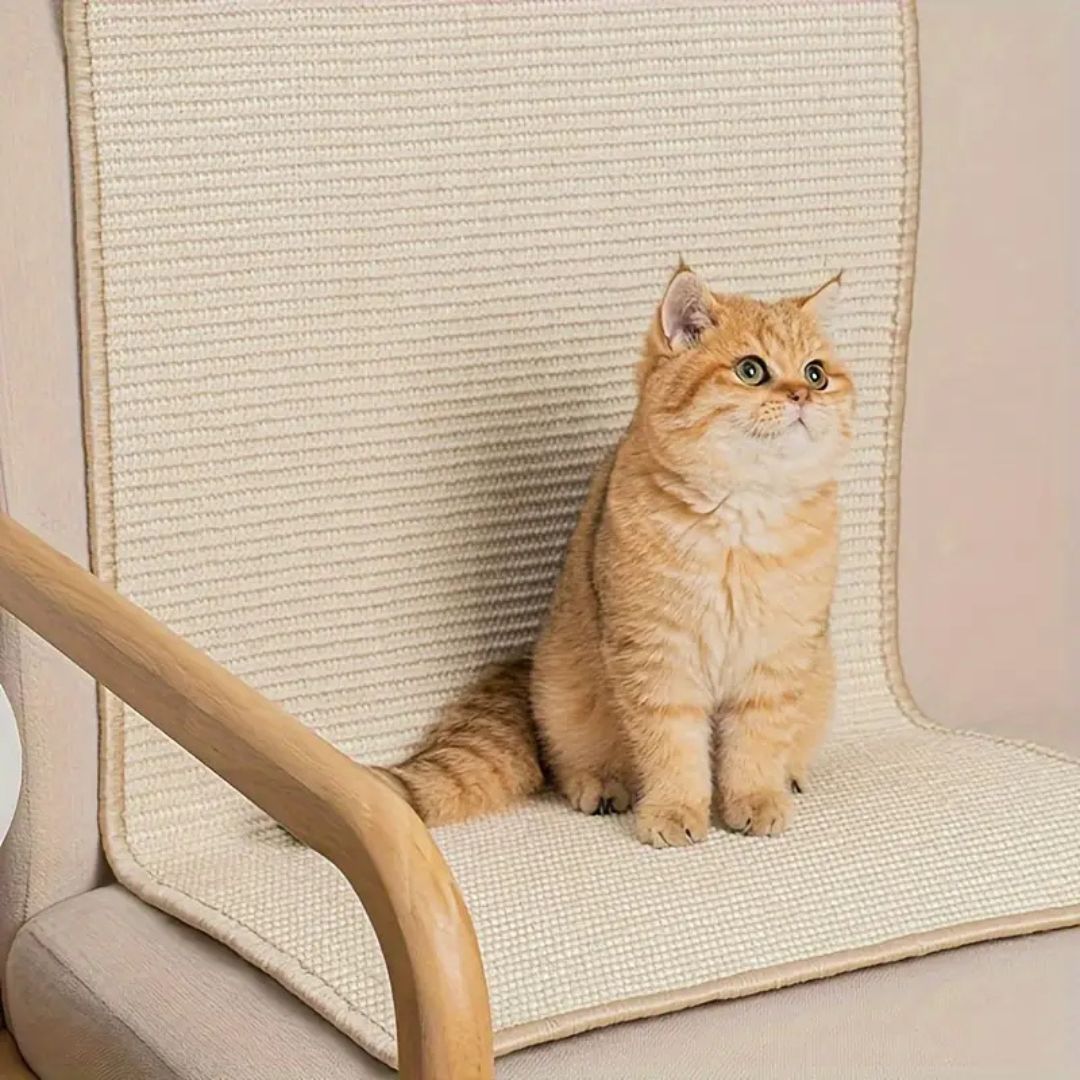 tapis chat griffoir adhésif - Happy minet