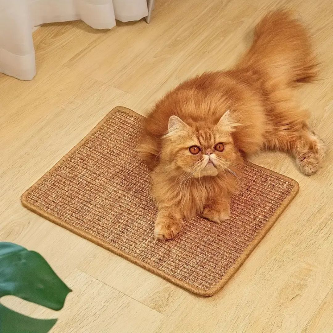 tapis chat griffoir adhésif - Happy minet