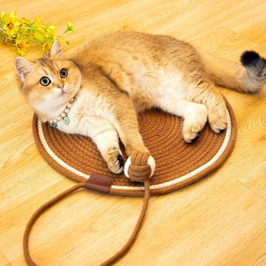 tapis chat griffoir rond - Happy minet