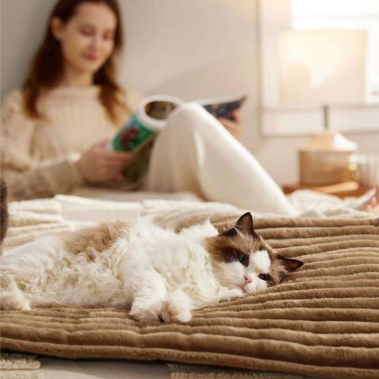 tapis chauffant pour chat agréable
