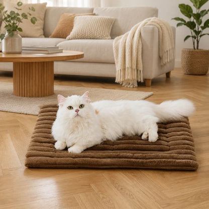 tapis chauffant pour chat brun
