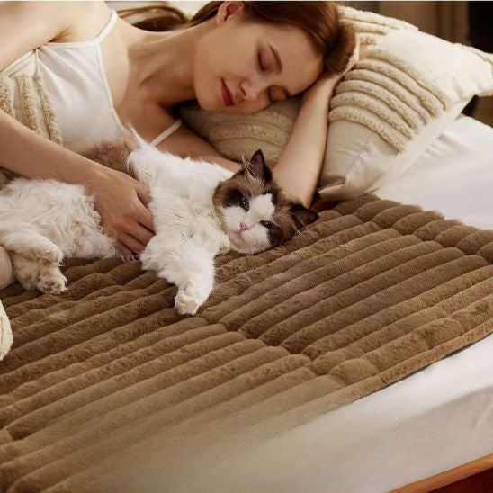 tapis chauffant pour chat

