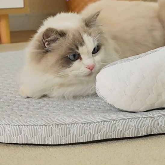 tapis fraicheur chat aéré