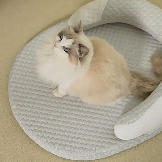 tapis fraicheur chat douillet