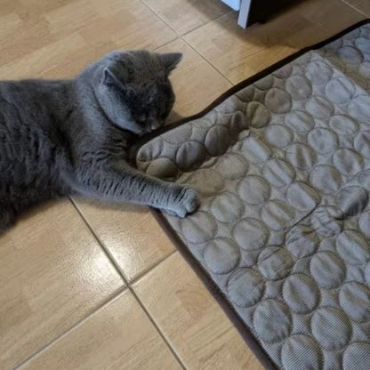 tapis-frais-pour-chat-bien-être