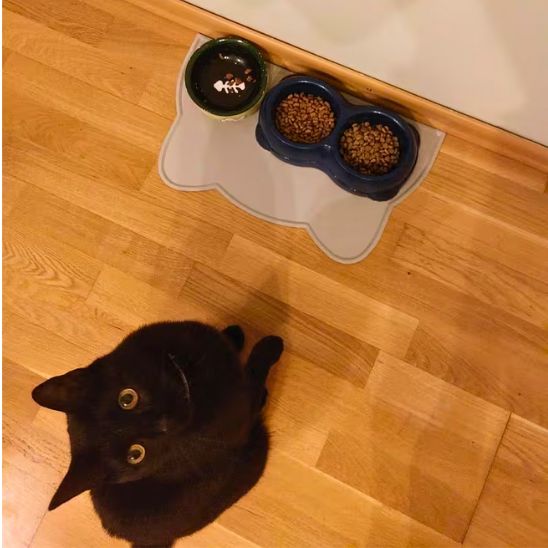 tapis gamelle chat protection sol