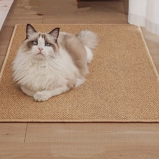 tapis griffoir pour chat idéal