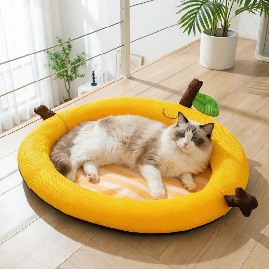 tapis rafraîchissant chat abricot