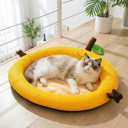 tapis rafraîchissant chat abricot