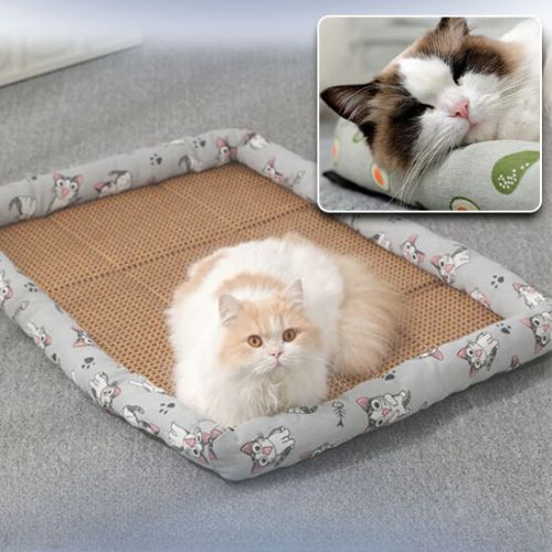 tapis-rafraichissant-chat-doux-frais