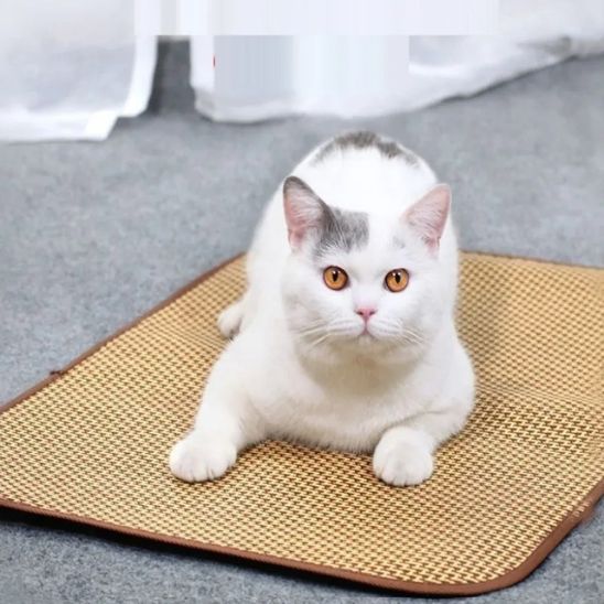 Tapis rafraichissant chat fraicheur