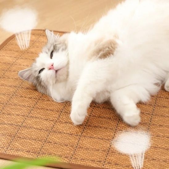 Tapis rafraichissant chat frais