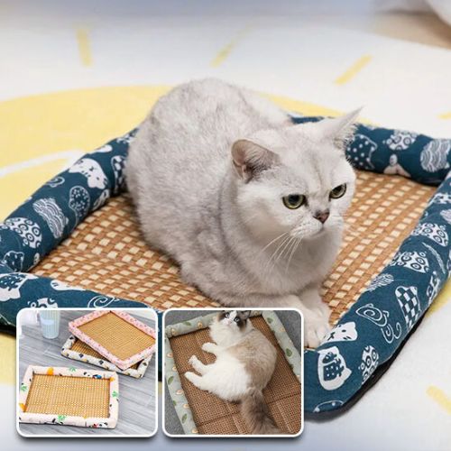 tapis-rafraichissant-chat-lit-d-ete