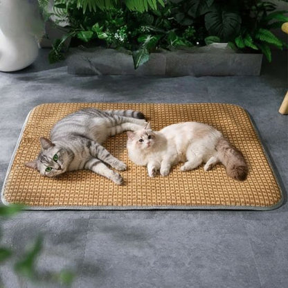 Tapis rafraichissant chat mobile