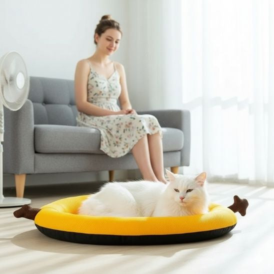 tapis rafraîchissant chat orange