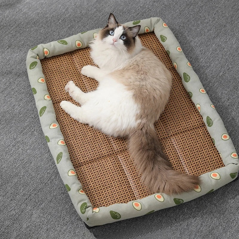 tapis-rafraichissant-chat-unique