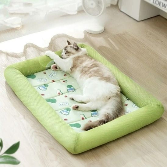 tapis rafraîchissant chat vert