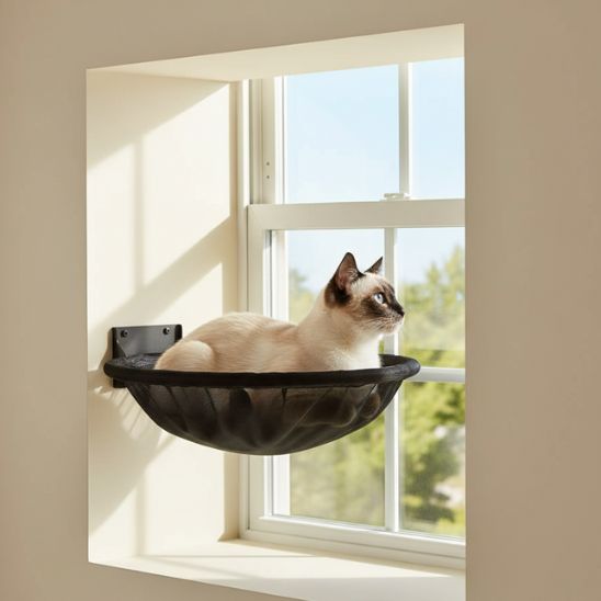 Tapis rafraichissant chat vue panoramique