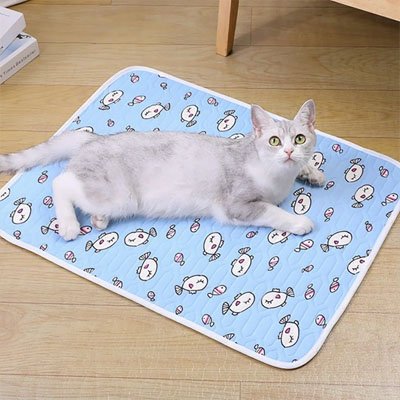 tapis-rafraichissant-pour-chat-bleu-oasis