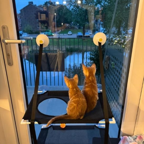 tapis rafraichissant pour chat duo