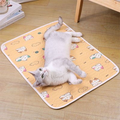 tapis-rafraichissant-pour-chat-orange-oasis