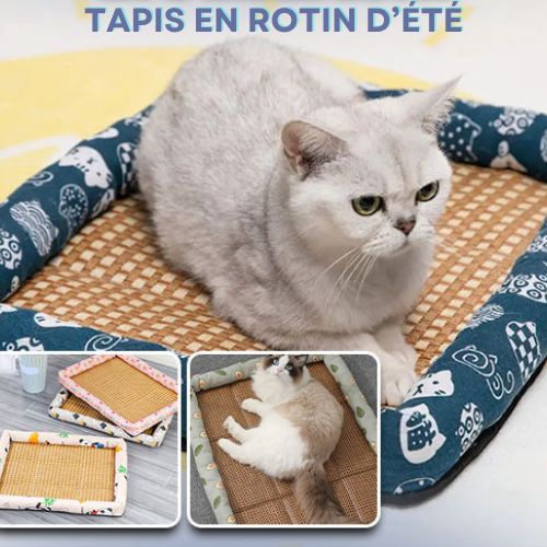 tapis-rafraichissant-chat-rotin