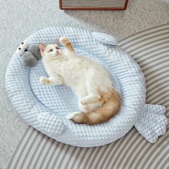 Tapis refrigerant chat agréable