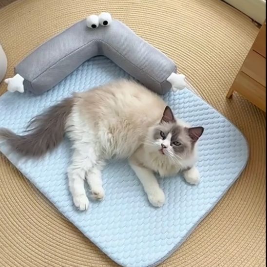 Tapis refrigerant chat confort