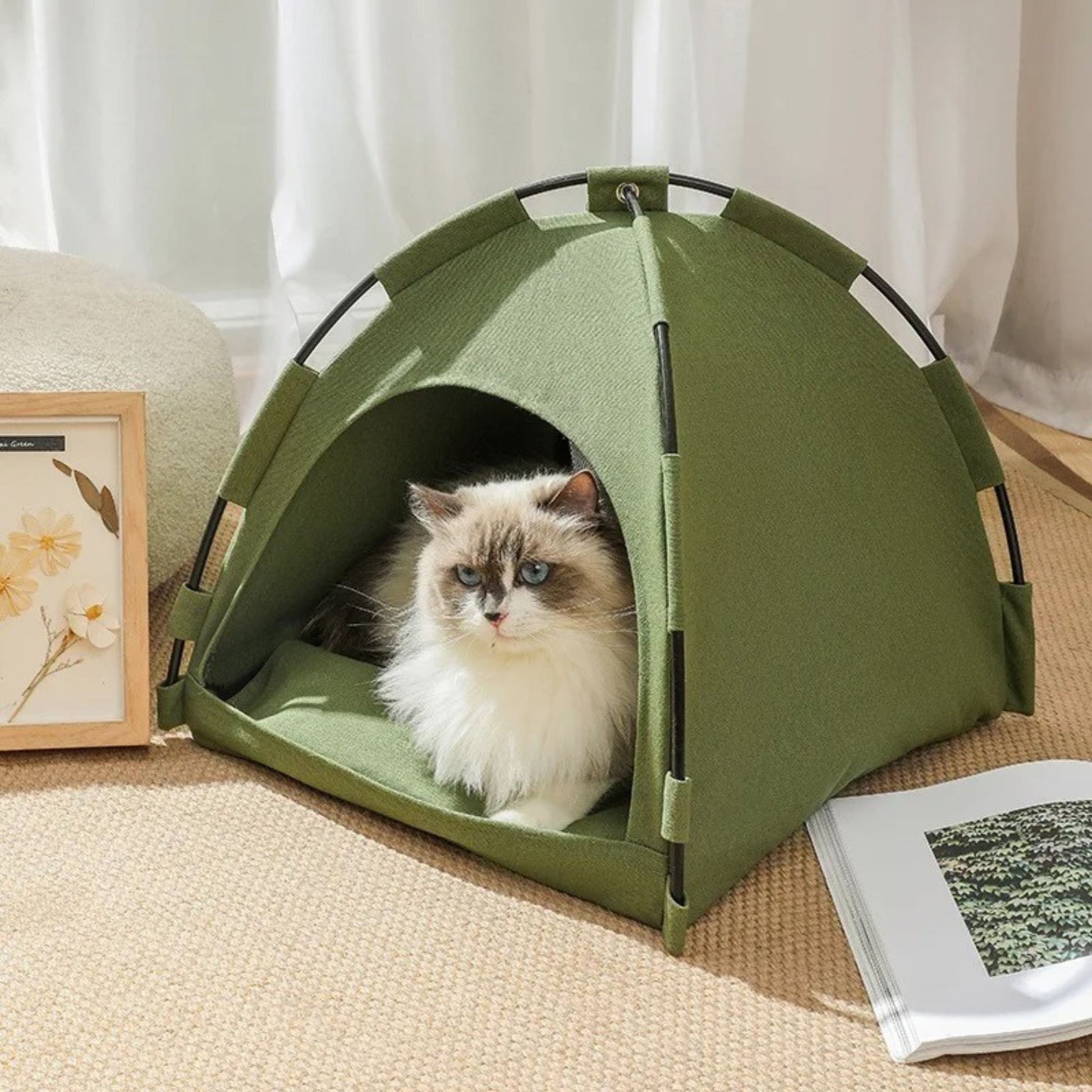 tente-pour-chat-abri