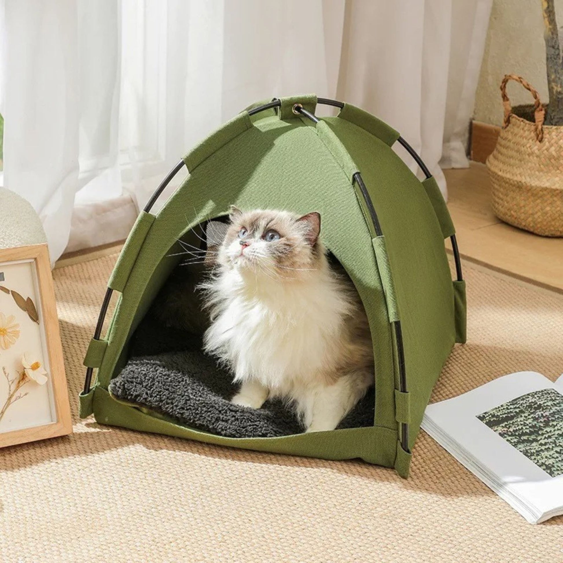 tente-pour-chat-confortable