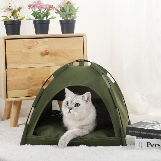 tente-pour-chat
