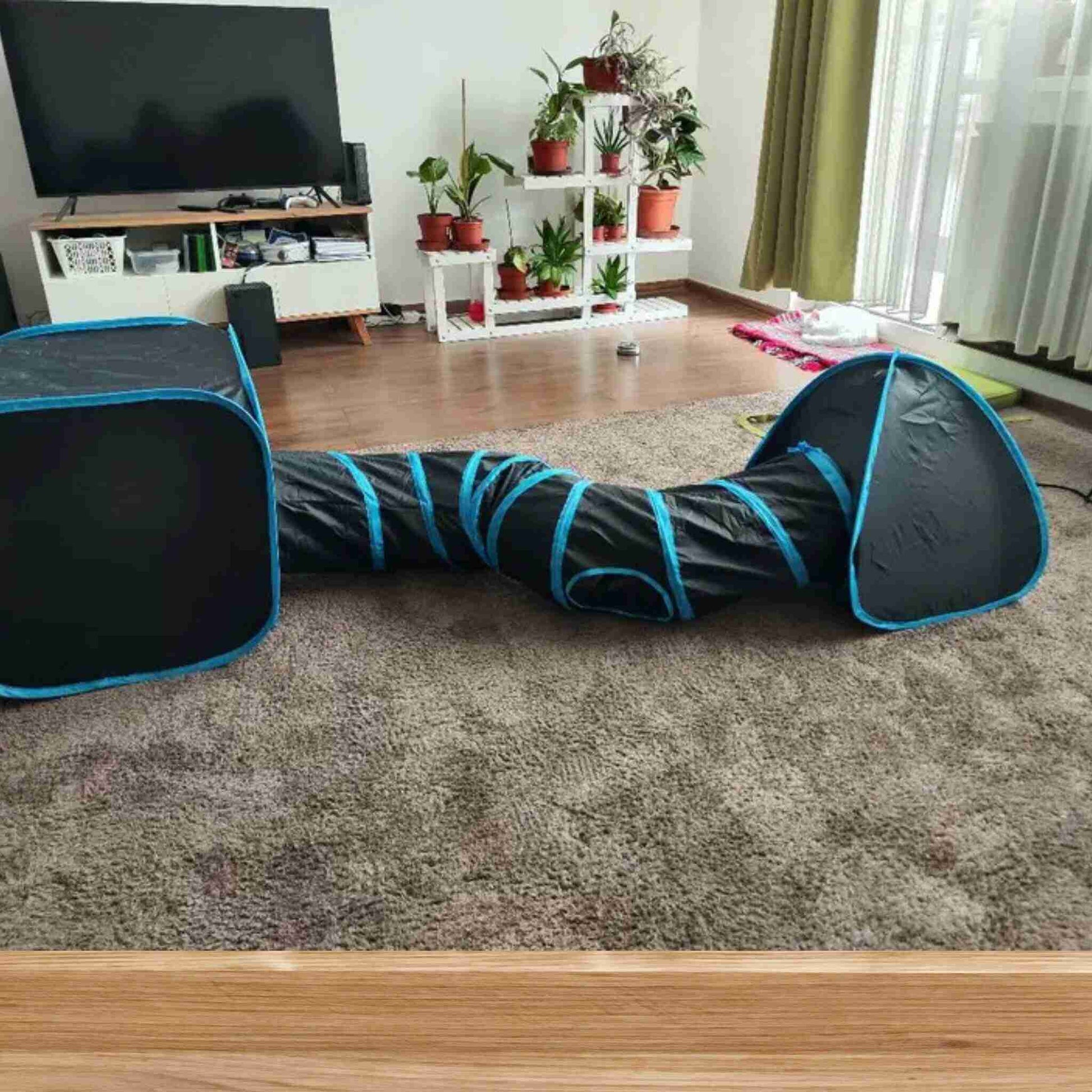 tunnel-chat-bleu