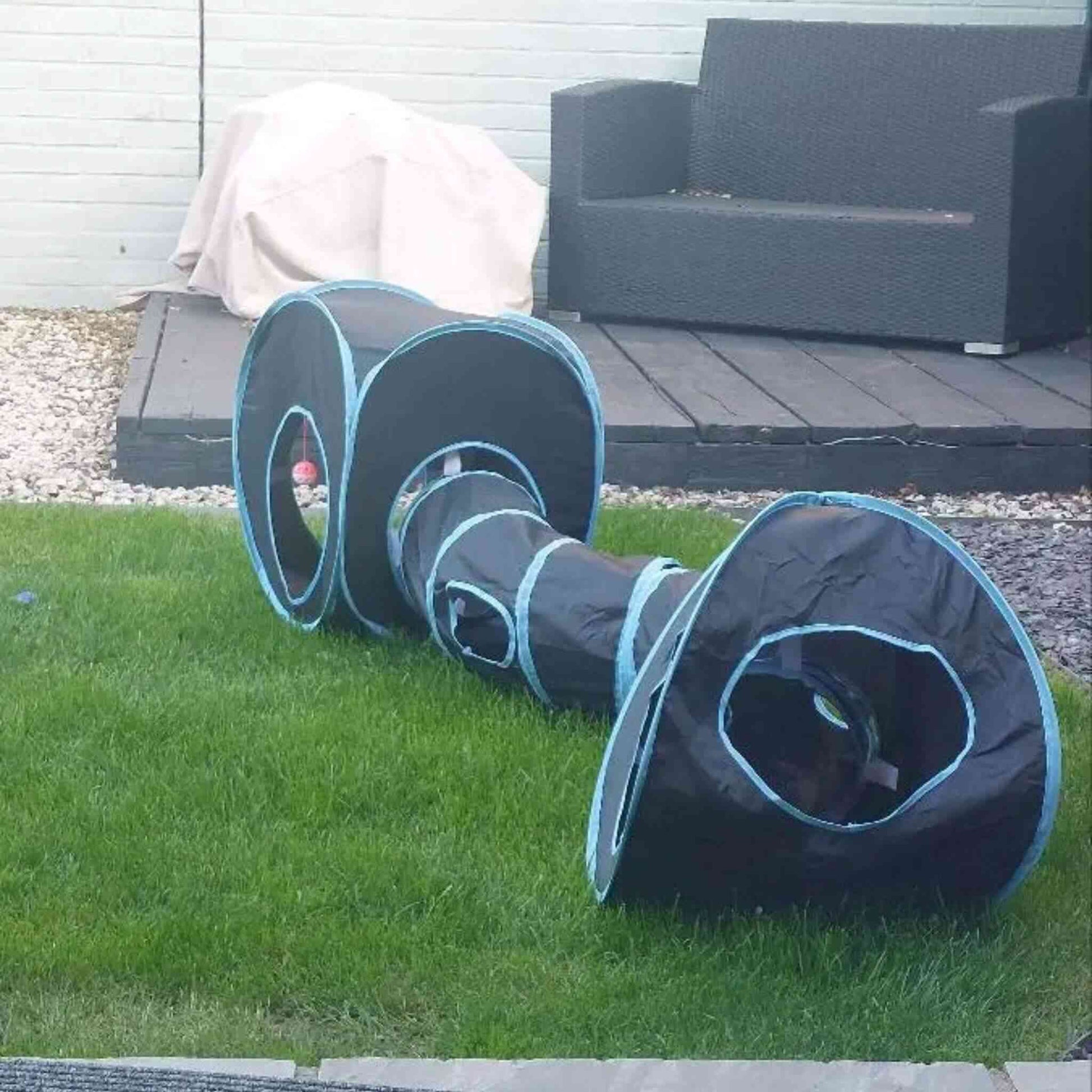 tunnel-chat-extérieur