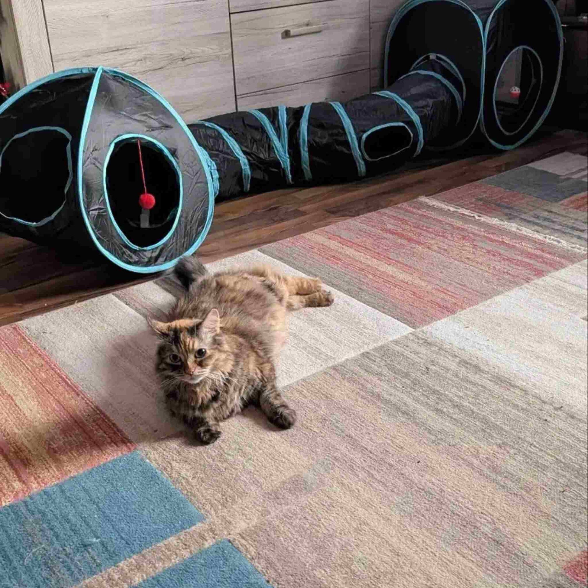 tunnel-chat-grand