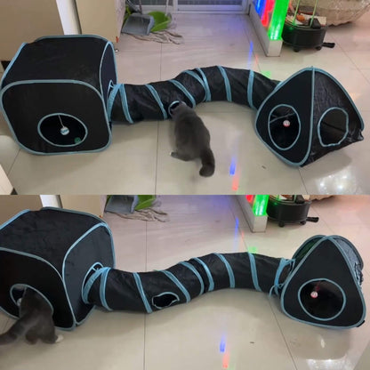 tunnel-chat-incroyable