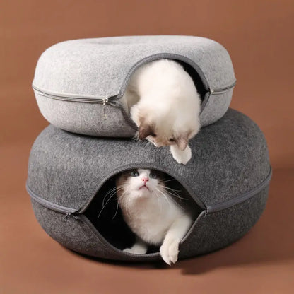 tunnel-chat-jeu