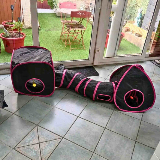 tunnel-chat-rose
