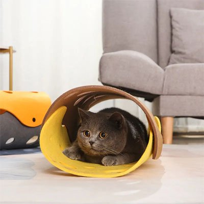 Tunnel Chaton amusant