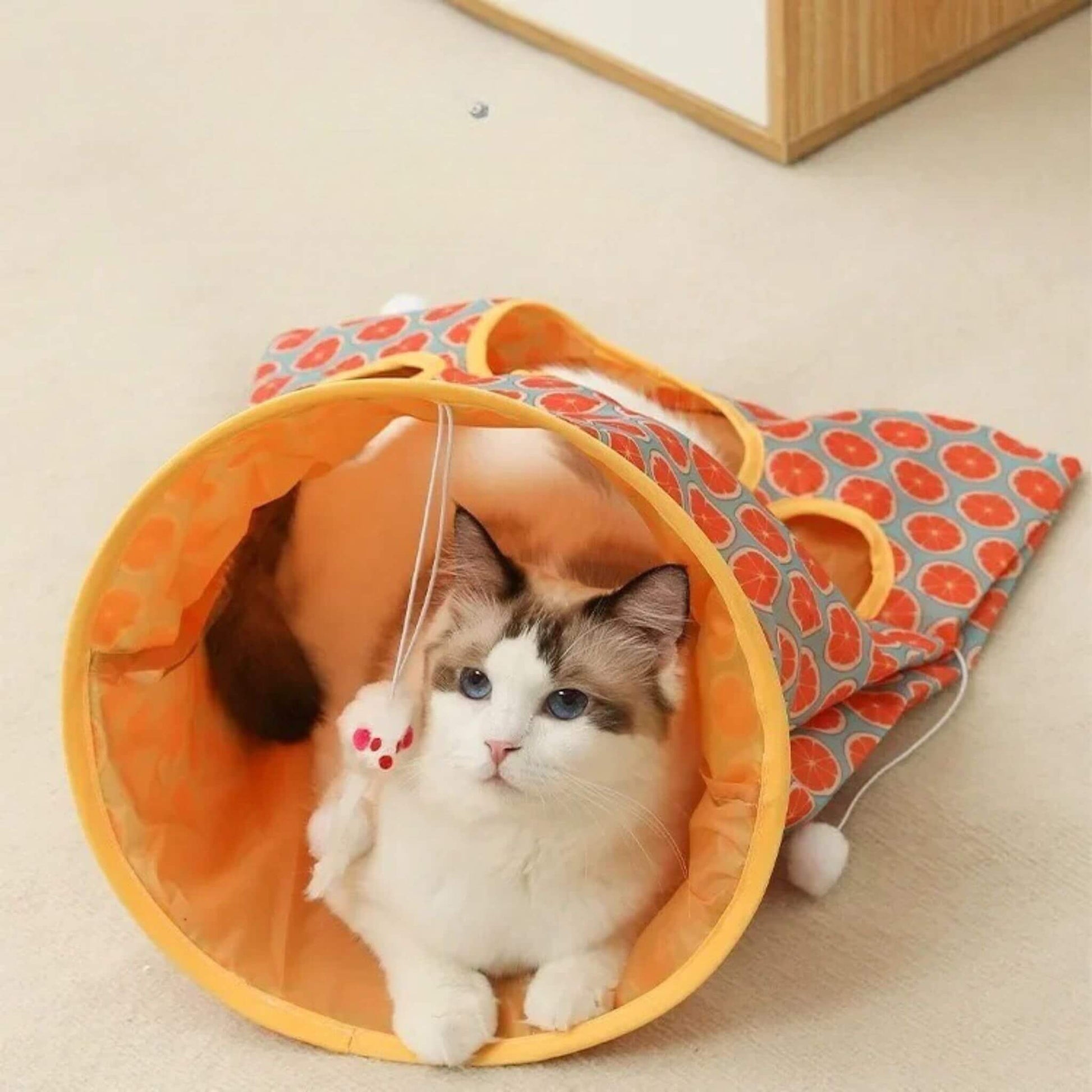 tunnel-du-chat-durable