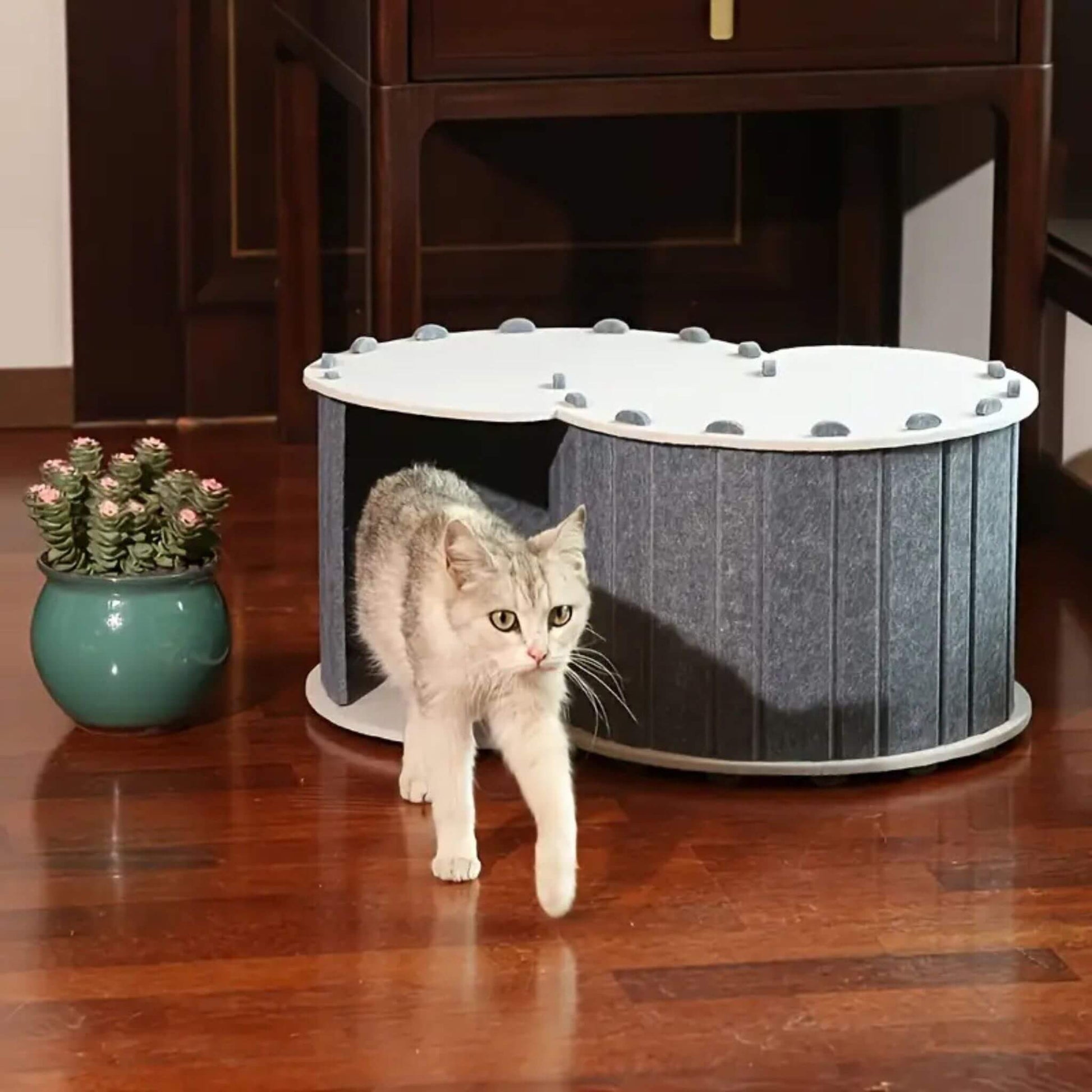 tunnel-du-chat-gris