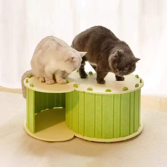 tunnel-du-chat-vert