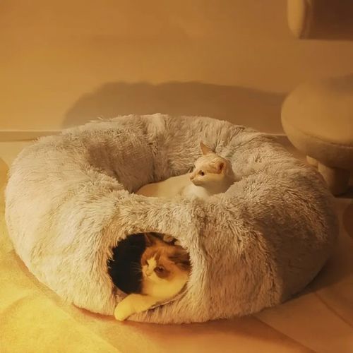 tunnel-pour-chat-2-en-1