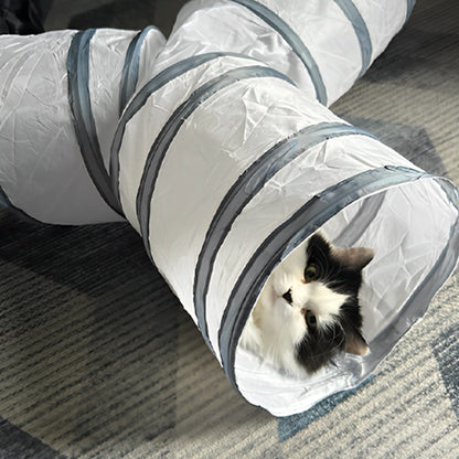 tunnel-pour-chat-aventureux