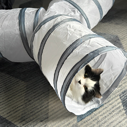 tunnel-pour-chat-aventureux