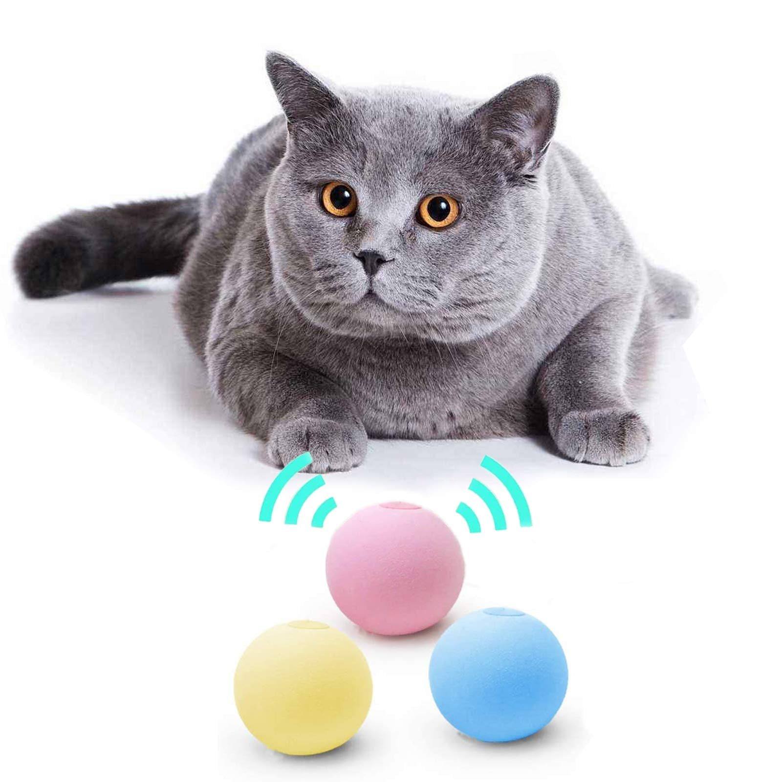 jouet-chat-interactif-variantes