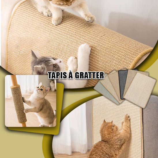 griffoir-chat-canapé-TAPIS GRIFF'™ - TAPIS DE PROTECTION - Happy minet